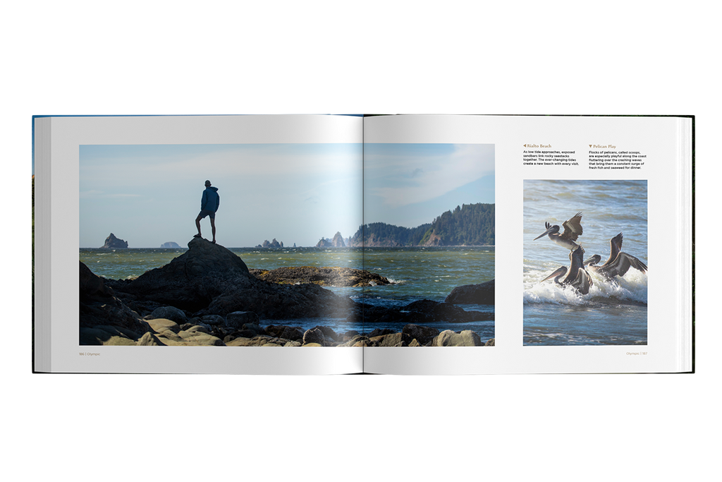 ParkQuest: A Photographer's Immersive Guide to America's 63 National Parks